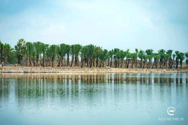 Eco Retreat Hân Hoan Đón Chào Cây Bao Báp – Biểu Tượng Sống Mạnh Mẽ của Thiên Nhiên
