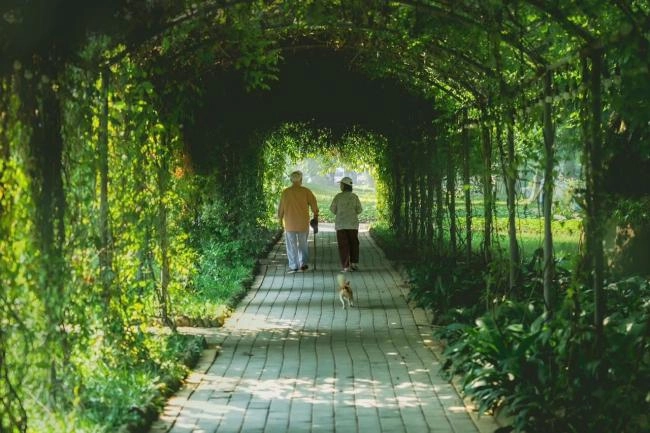 Eco Retreat Long An - Thiên Đường Nghỉ Dưỡng Xanh Tại Bến Lức, Long An