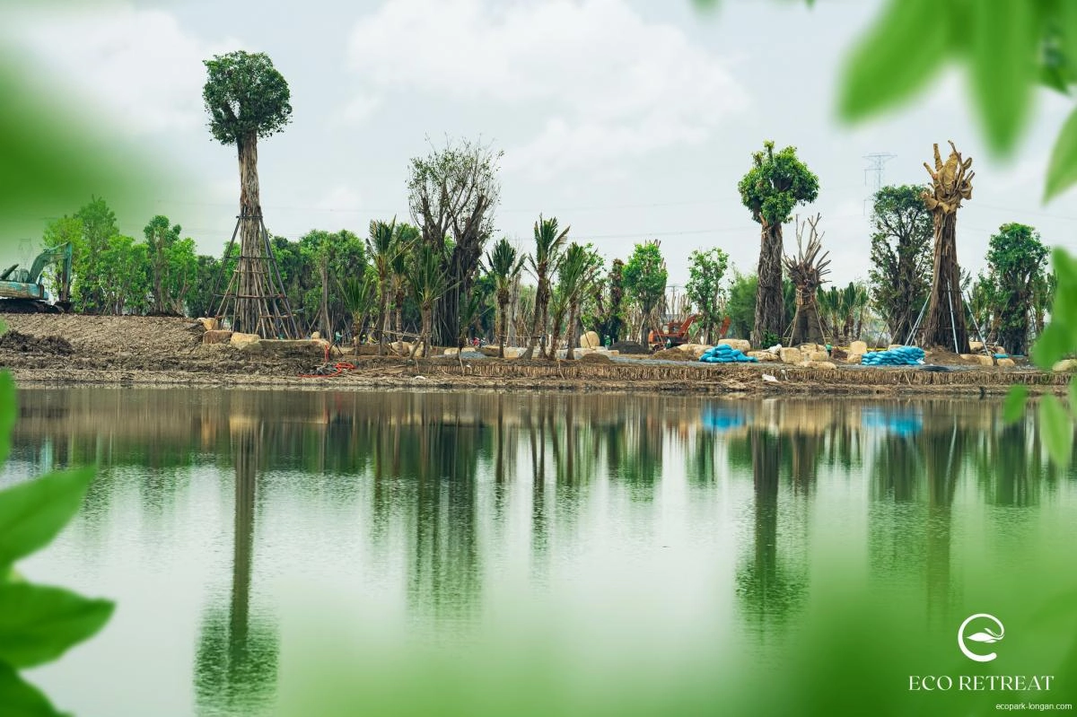 Eco Retreat Hân Hoan Đón Chào Cây Bao Báp – Biểu Tượng Sống Mạnh Mẽ của Thiên Nhiên