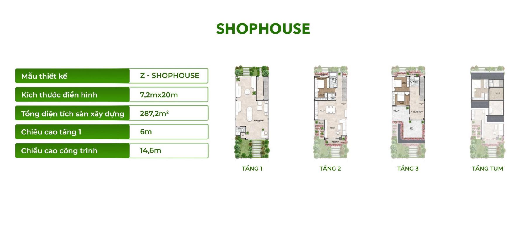 Mặt bằng Rừng Mai Mùa Lễ Hội | Full layout chi tiết