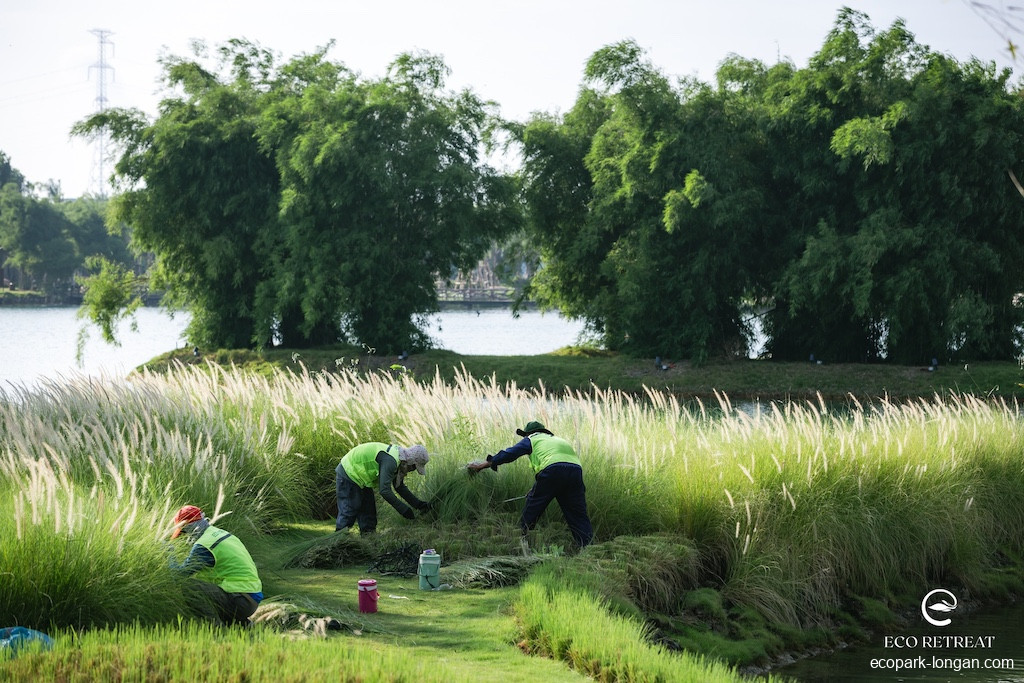 Hình ảnh thực tế Eco Retreat tháng 9 -Những bàn tay vun đắp yêu thương