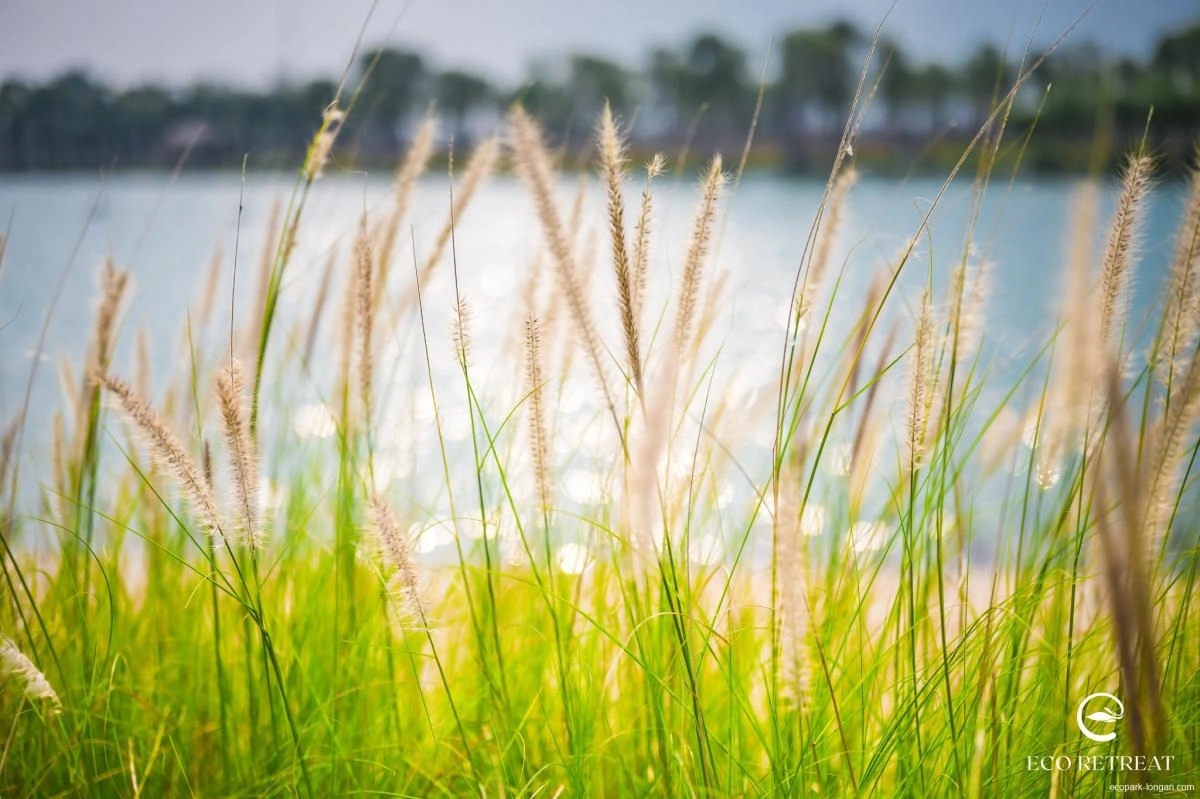 Cập nhật hình ảnh mới nhất Ecopark Long An tháng 8/2025