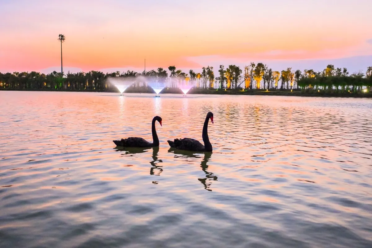 Hồ Thiên Nga tại dự án Ecopark Long An